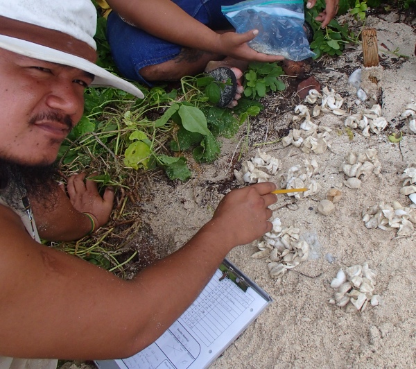 Ricky Misa’alefua inventory turtle nests that have finished hatching and record information on the clutch size and hatching success.